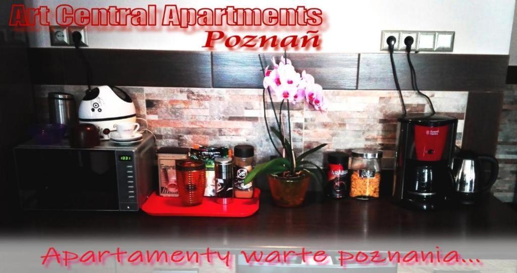 Art Apartments بوزنان المظهر الخارجي الصورة